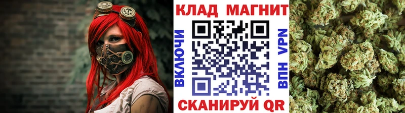Наркошоп купить Cocaine  МЕФ  Псилоцибиновые грибы  Конопля  АМФ  Балтийск