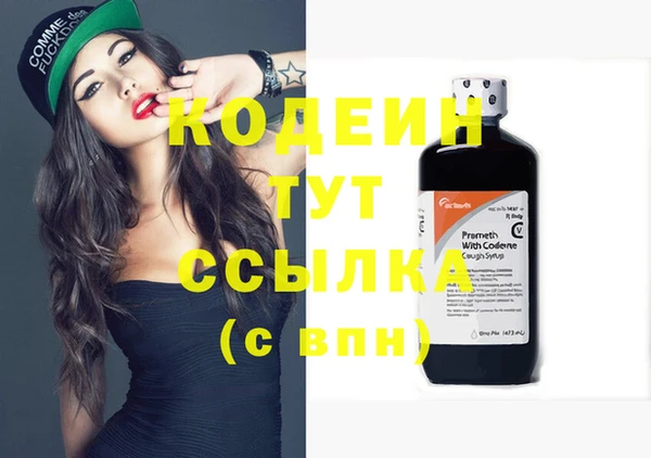 дурь Рославль