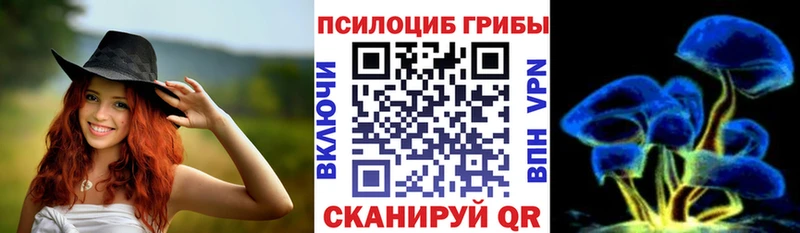 Купить закладки  Балтийск  Псилоцибиновые грибы MAGIC MUSHROOMS 